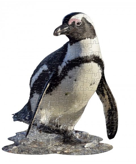 Puzzle Pingüino